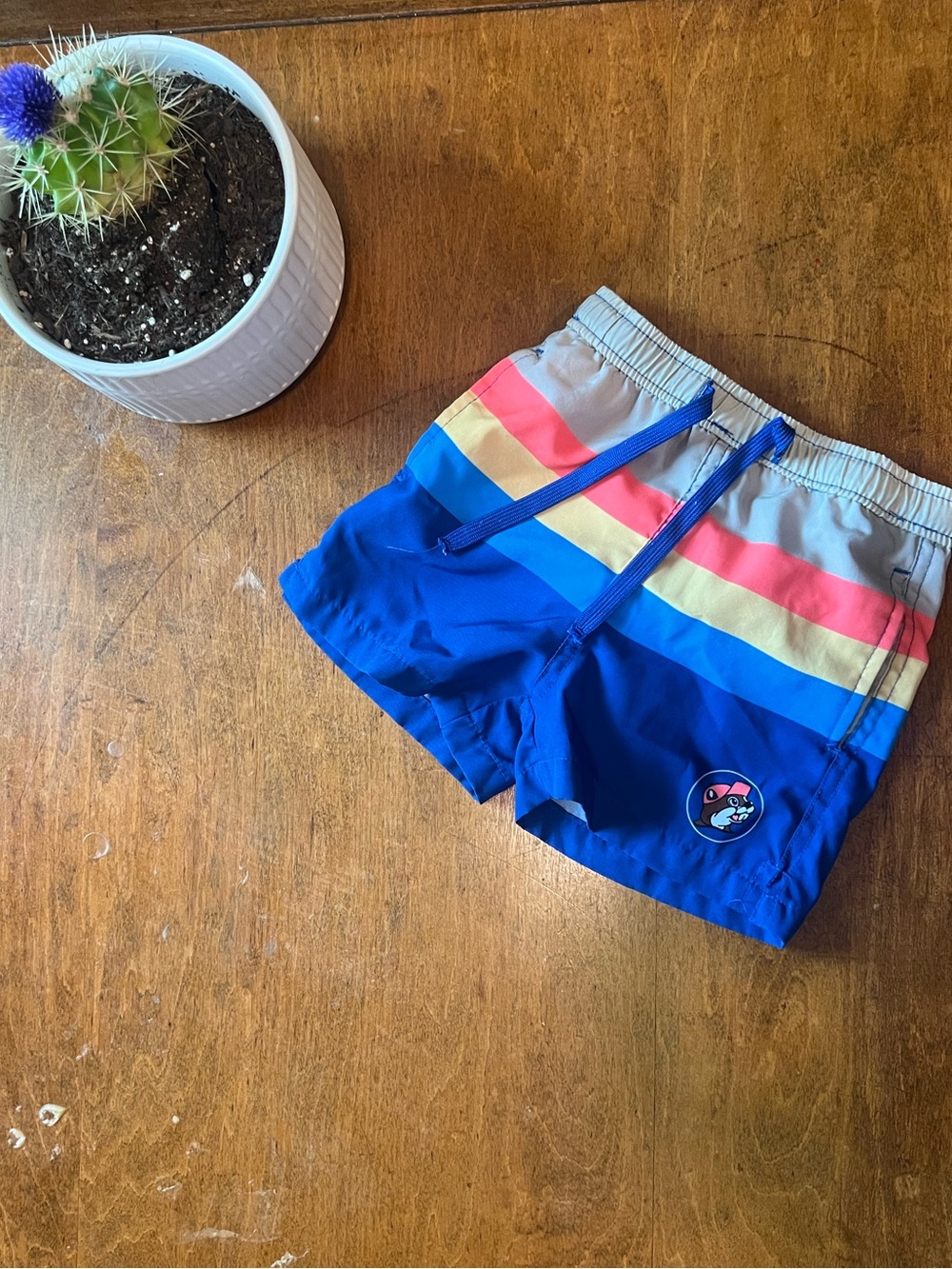 Buc-ee’s Boys Retro Stripe Swim Trunks Size 3T Blue Rainbow Board Shorts